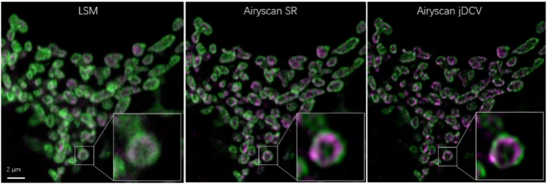 1639644521912523.jpg 640.webp.jpg