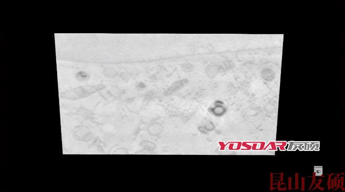 FIB山东扫描电镜